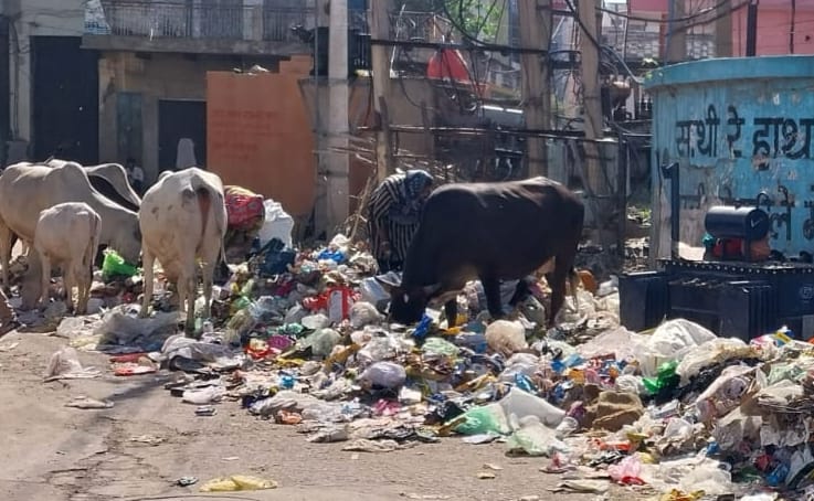 Claims of Improvements in Ward-3, but Sewage Has Spoiled the Picture