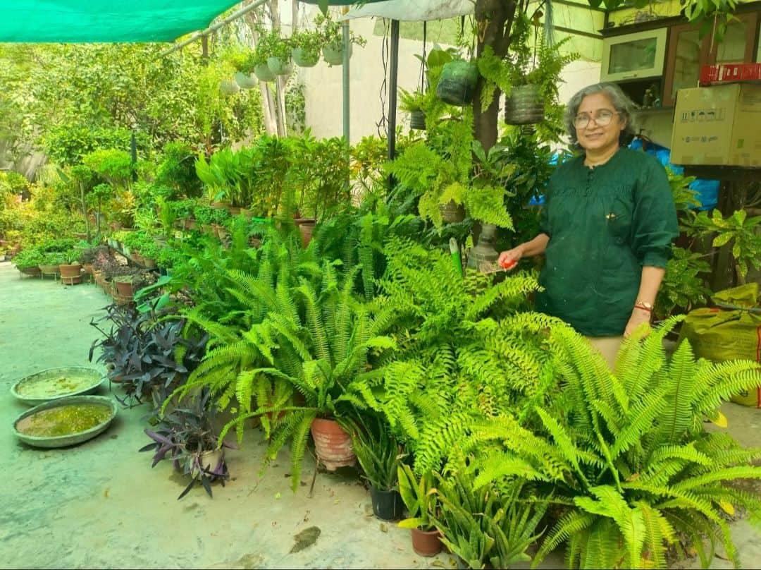 13 ग्रीन रोड स्थित मकान के आंगन में बनाई बगिया में पौधों की देखभाल करतीं संध्या जैन। संवाद