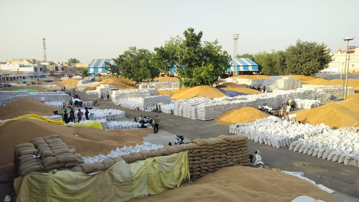 The arrival of wheat in the grain markets across the district has picked up pace.