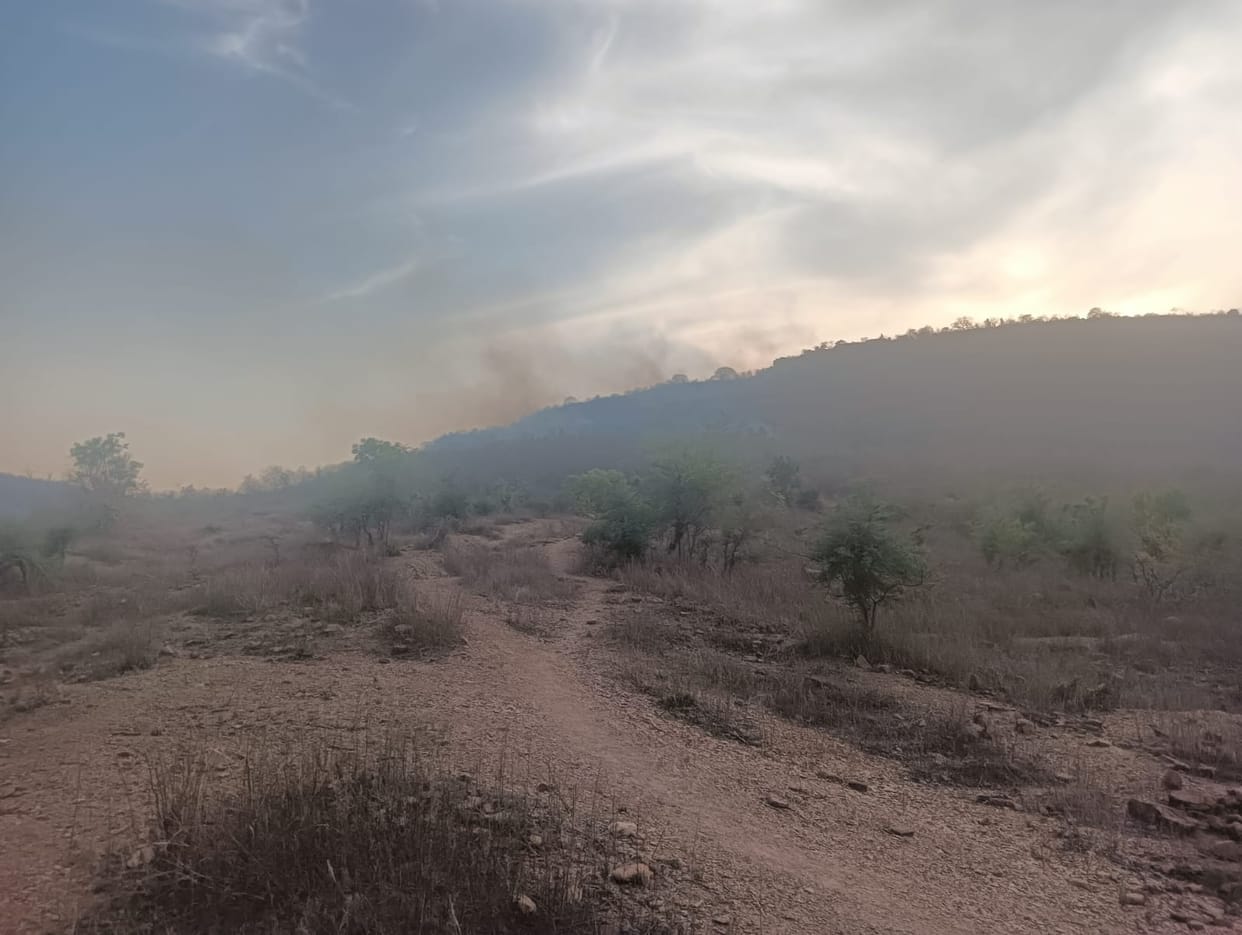 The fire in Mahogarhi spread to the forest of Babura Almi.