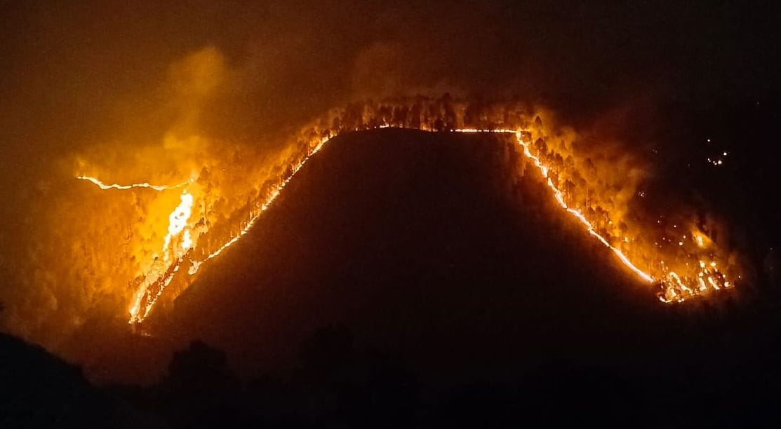The forests of Dobabhagu, Gallagaon, Tadag, Nigaligad and Khali are in the grip of a massive fire.