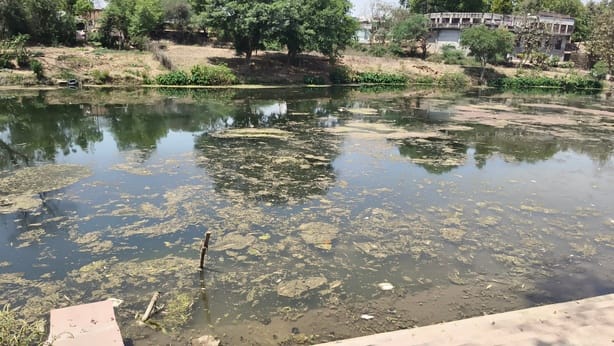 NGT takes strict action against illegal encroachments and filth in Mandakini river; seeks response from Satna Collector