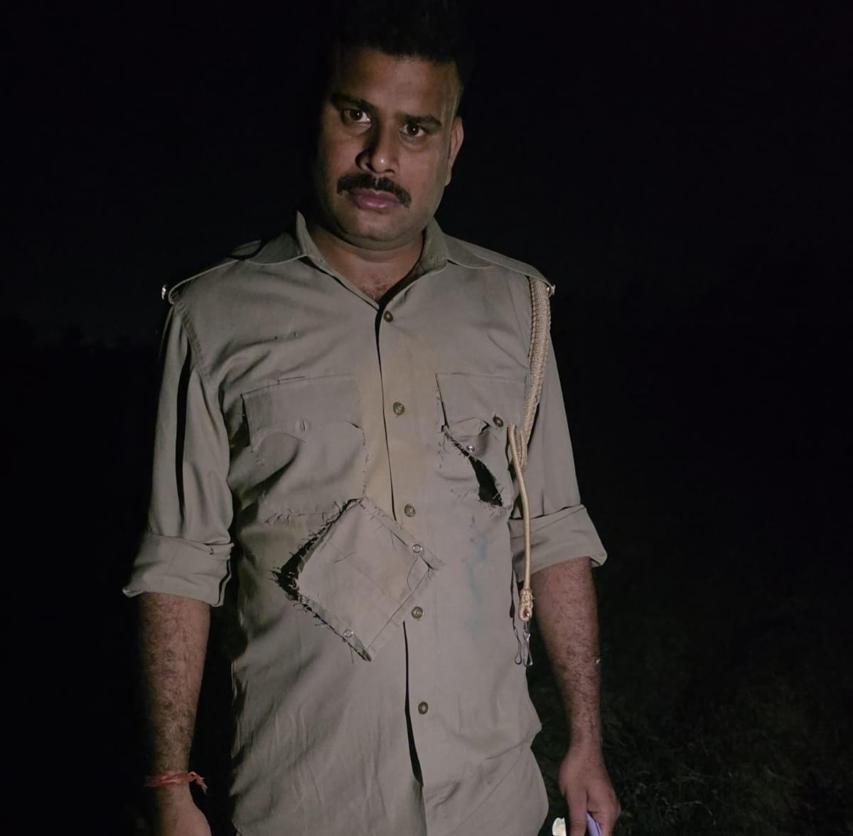 Wood mafia attacks forest department team