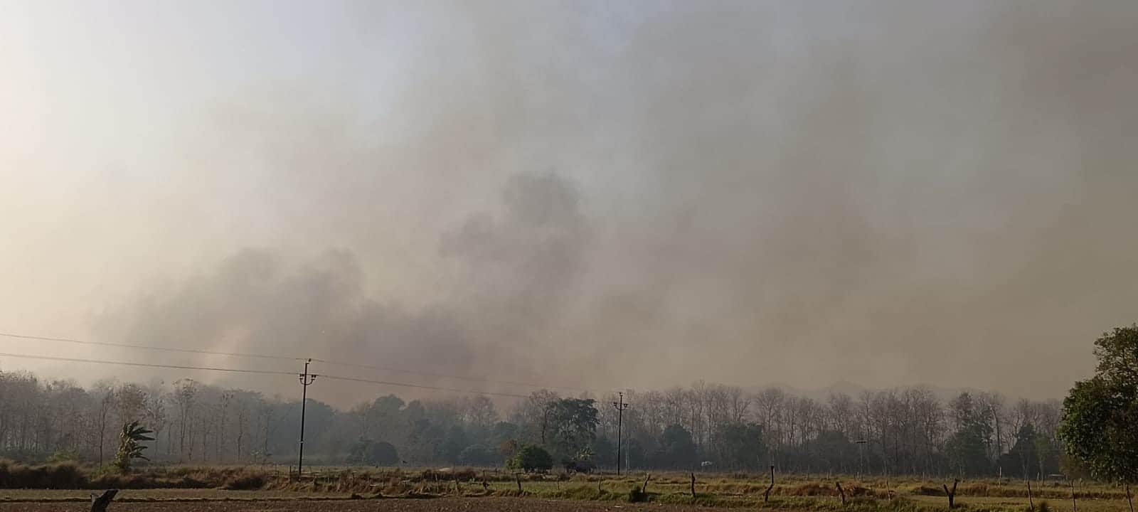 फोटो-28-बलरामपुर के सोहेलवा जंगल में लगी आग के बाद निकल रहा धुंआ ।-संवाद