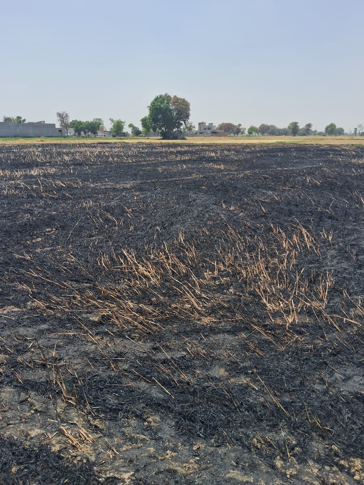 9 acres of wheat crop and straw were burnt in the fire