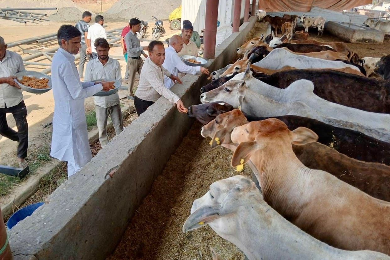 Chief Minister's OSD visited Mathana Cow Dhaam
