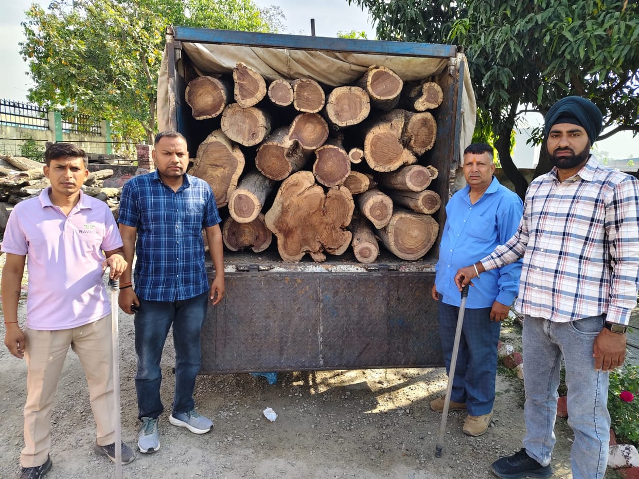 Vehicle loaded with rosewood caught