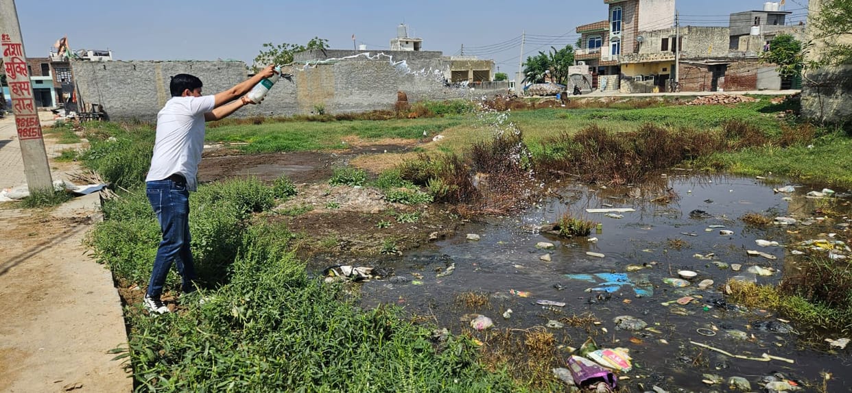 Waterlogged areas were marked and spraying of medicine began.