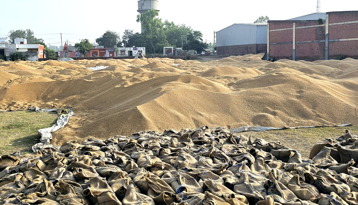 The slow pace of lifting increased the problems of commission agents and farmers.