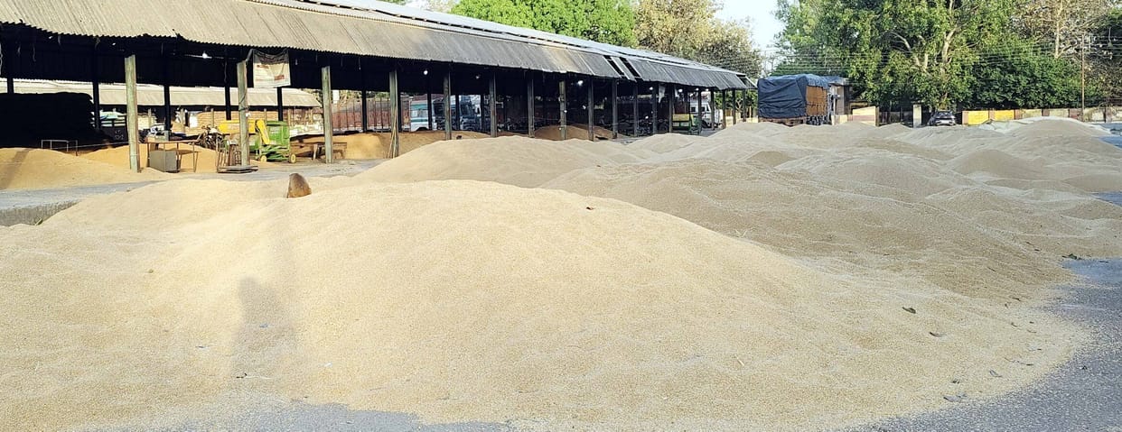 Procurement Stalled at Several Centers in Puwayan-Banda Due to Shortage of Sacks