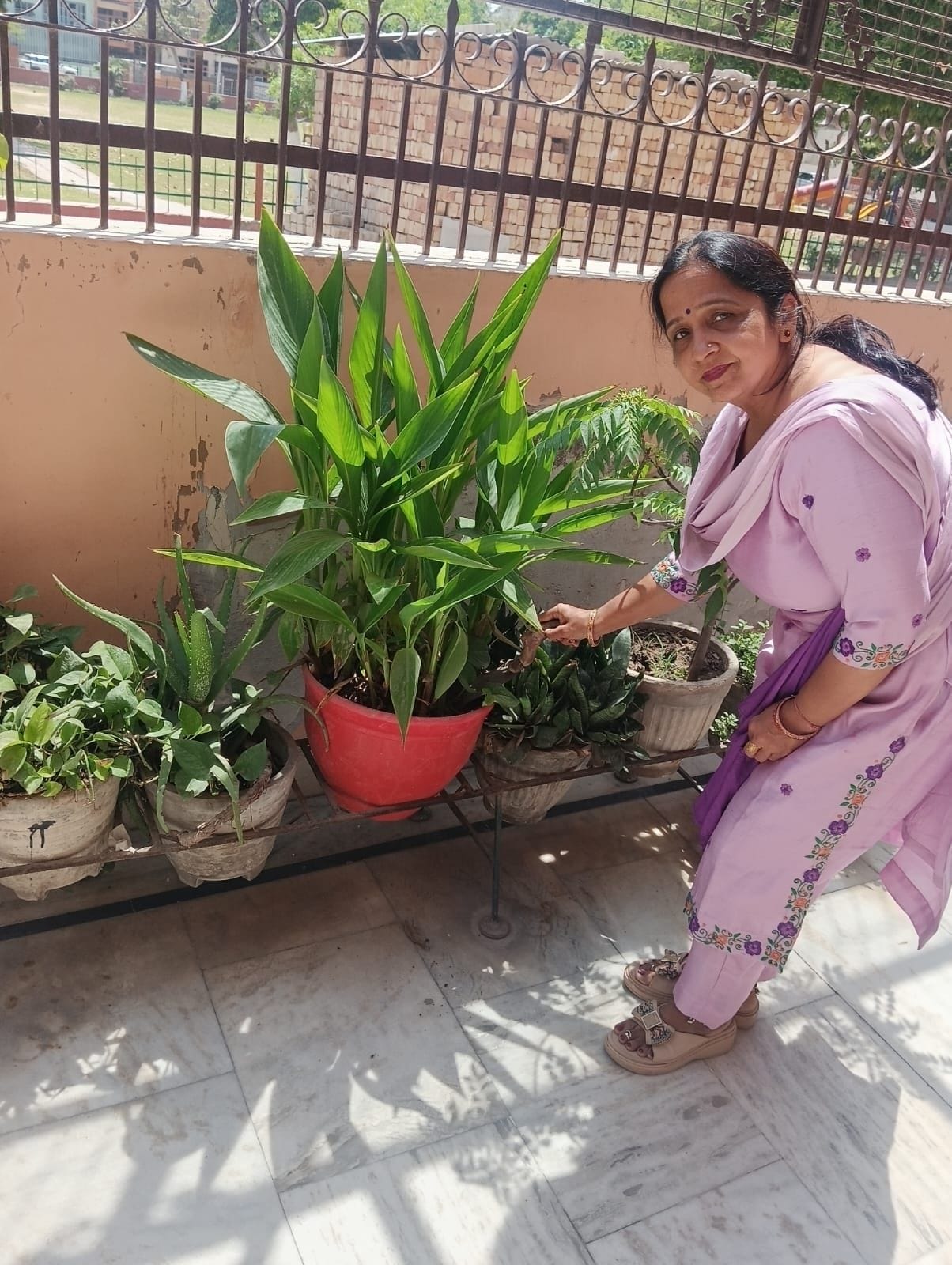 Over the course of 15 years, Kavita transformed her home into a lush green garden.