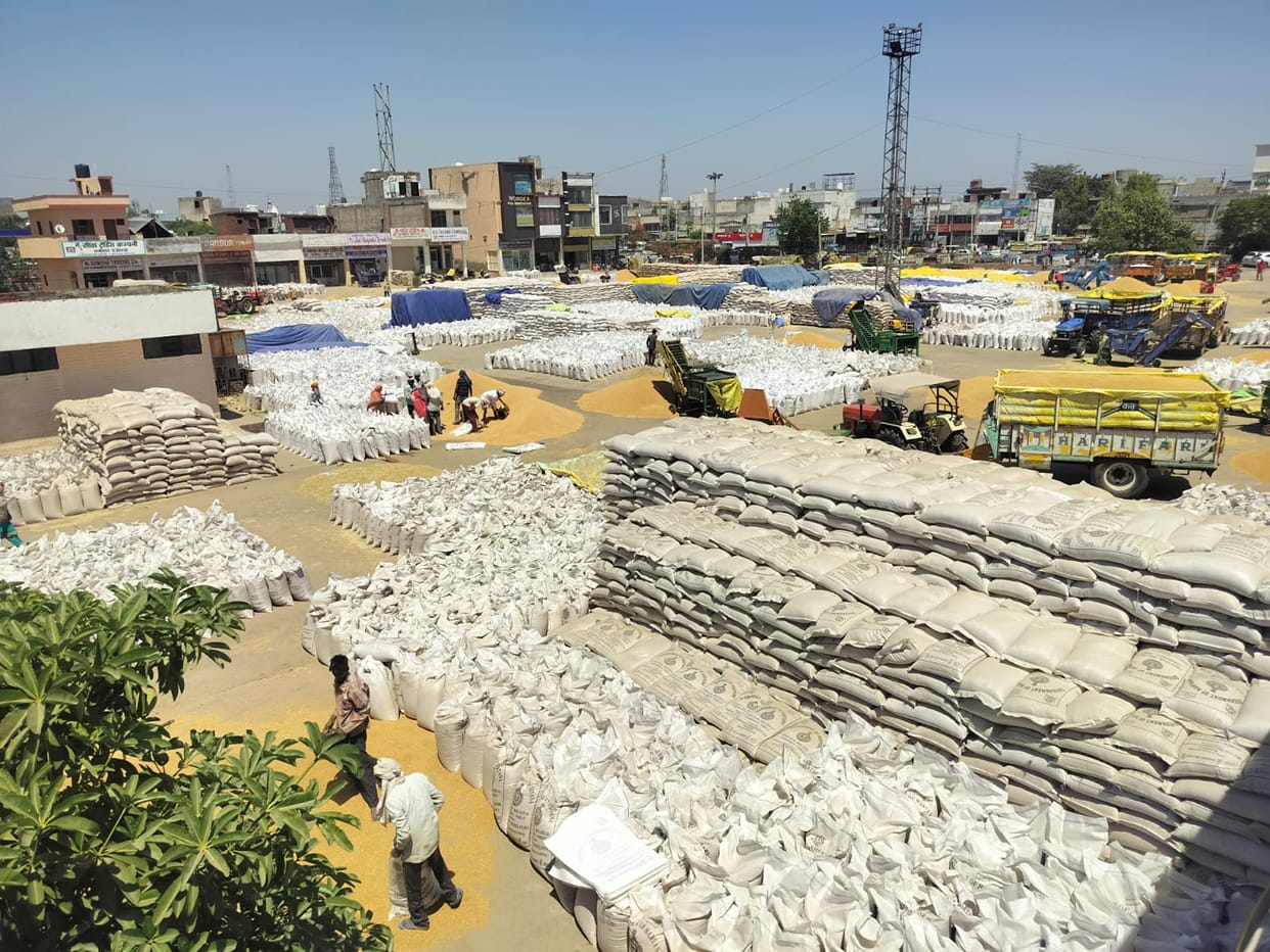 Over 2 lakh metric tonnes procured, breaking last year's record