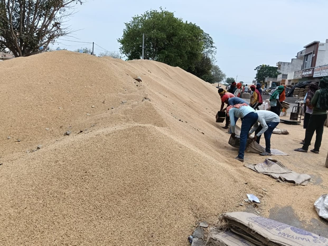 After the protest by the commission agents, there was a surge in the lifting, farmers were upset due to non-payment on time.