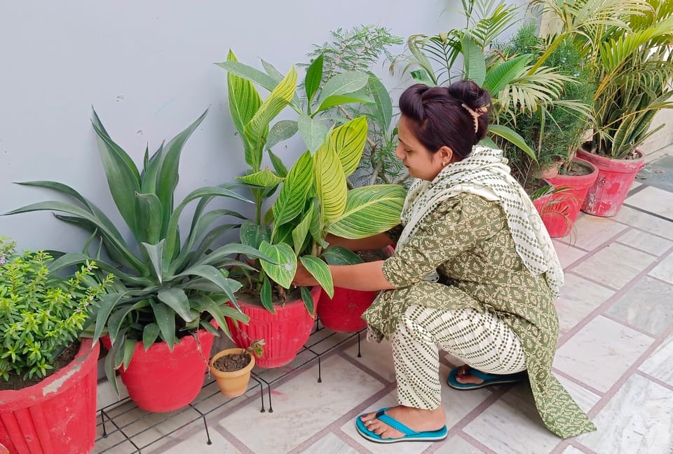 Dr. Bhavana created a garden, greenery is enhancing the beauty of the house