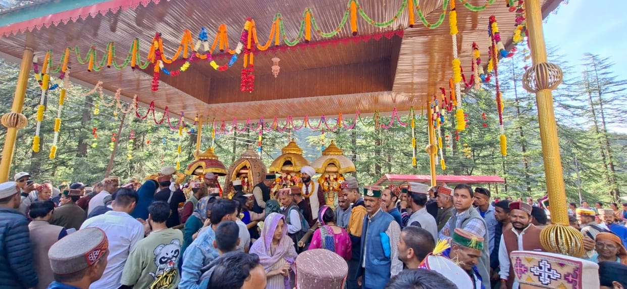 Seven investigations began in Jibhi, the gods met.