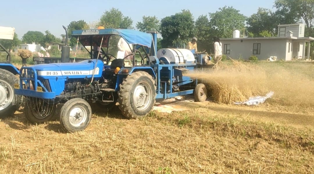 The changing weather in BBN has disturbed the sleep of farmers, wheat threshing is in full swing.