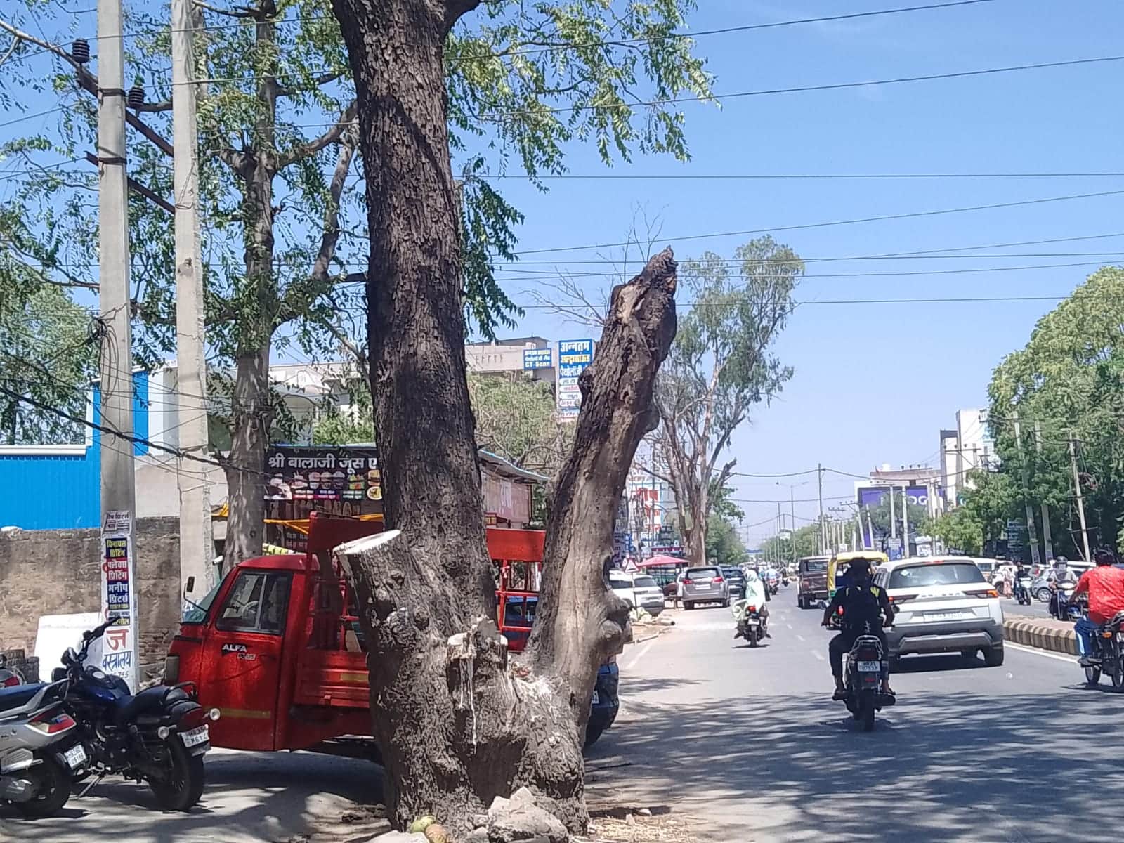 फोटो 19  महेंद्रगढ़ रोड पर काटा गया हरा पेड़।संवाद