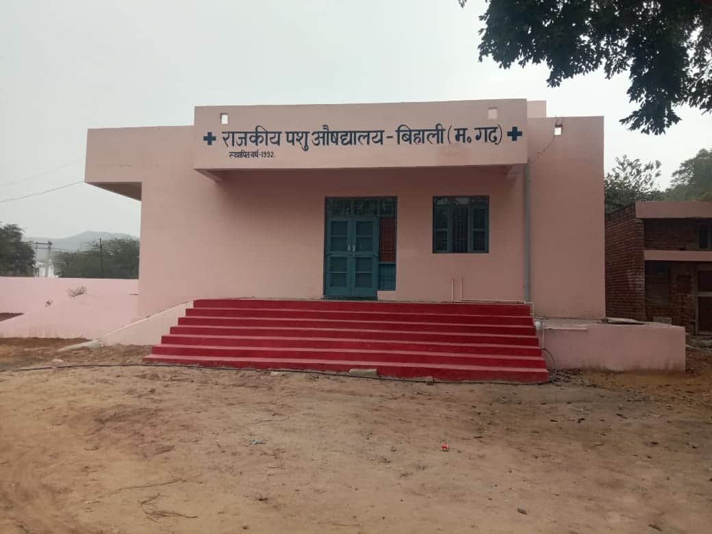 फोटो 20बिहाली में बनकर तैयार पशु अस्पताल।संवाद