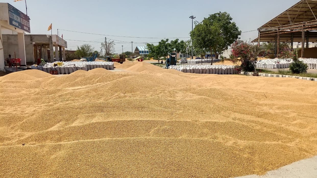 There has been a spurt in the procurement and lifting of wheat in the grain markets