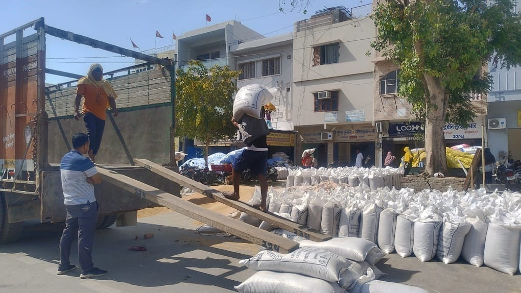 Procurement Halted: 15,000 Quintals of Wheat Lifted in a Single Day