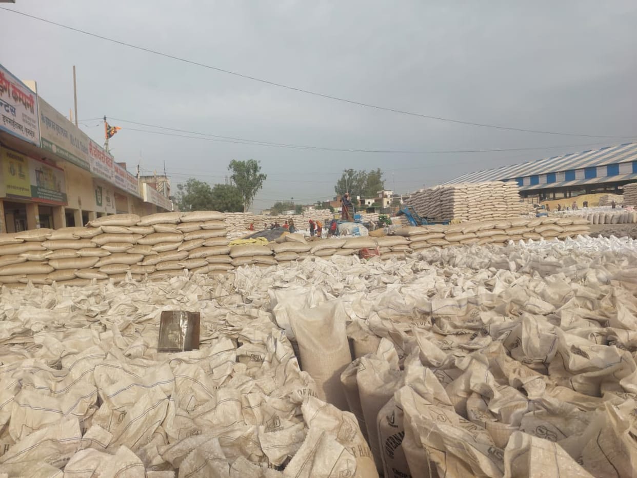 Due to slow lifting, wheat piles up in the market, causing problems for farmers and commission agents.