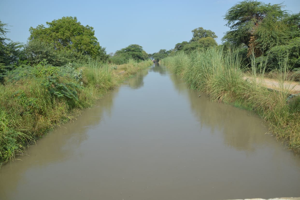There is no need for water for irrigation, the department asked for 600 cusecs of canal water
