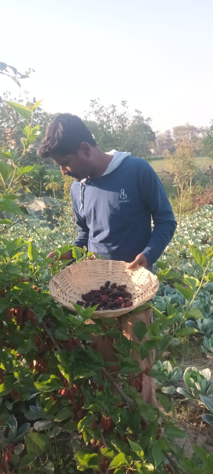When jobs became ineffective, farms became the real source of employment