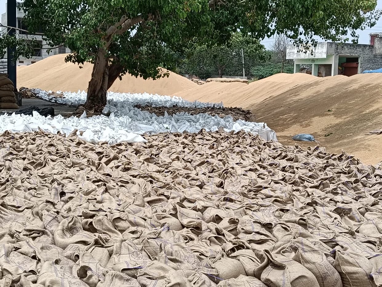 Payment of Rs 10.06 crore reached the accounts of 783 farmers, payment for 38,941 quintals of wheat was made.
