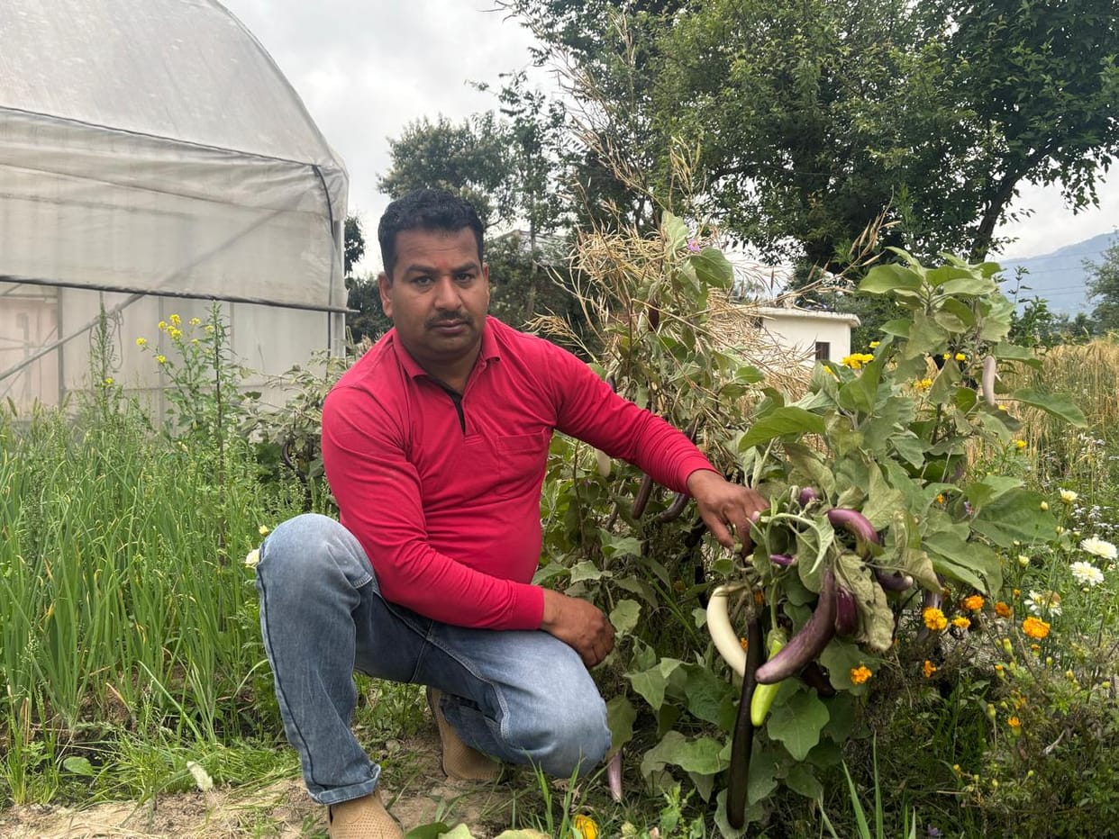 Himachal's Seed Man... Balveer Saini of Pataula has saved 70 rare indigenous varieties.