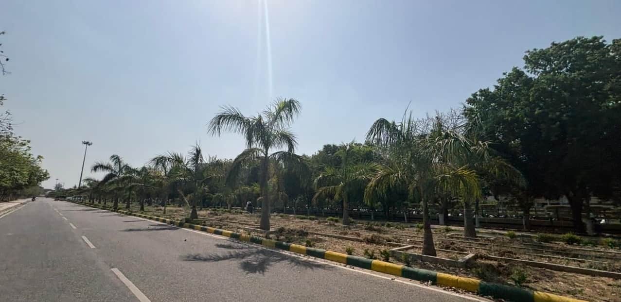 04-एमडीयू परिसर में फैली हरियाली। संवाद