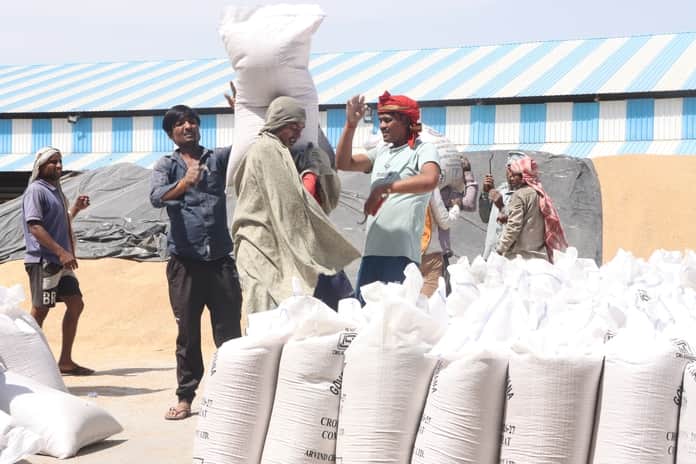 15-रोहतक नई अनाज मंडी में गेहूं का उठान करते मजदूर। संवाद