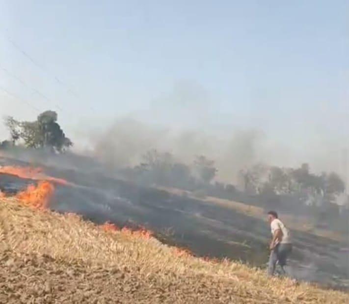 13 acres of wheat and 15 acres of straw were burnt to ashes in Ghilod Kalan village.