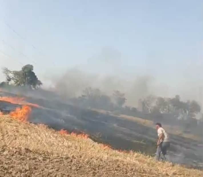 31-रोहतक के घिलौड़ गांव के खेत में जलते गेहूं के फाने। स्रोत : ग्रामीण