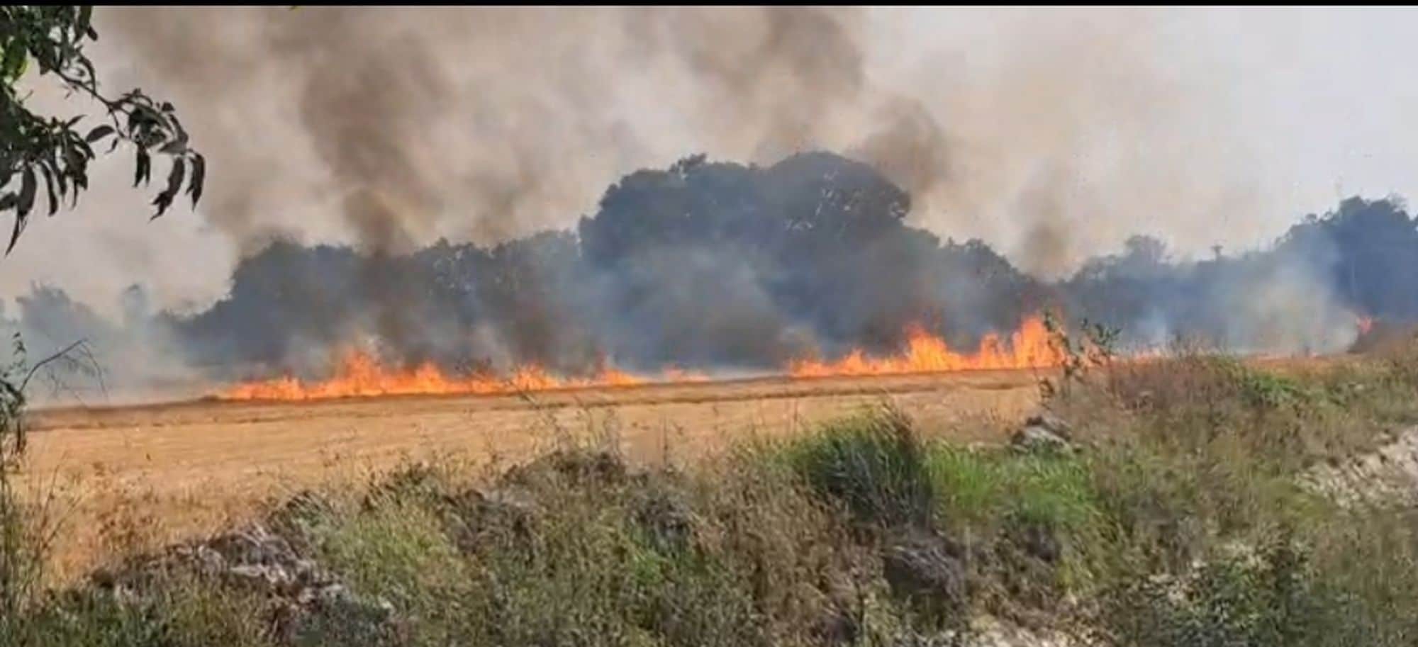 अकबरपुर के मरथुआ सरैया में खेत से उठती आग की लपटें। संवाद