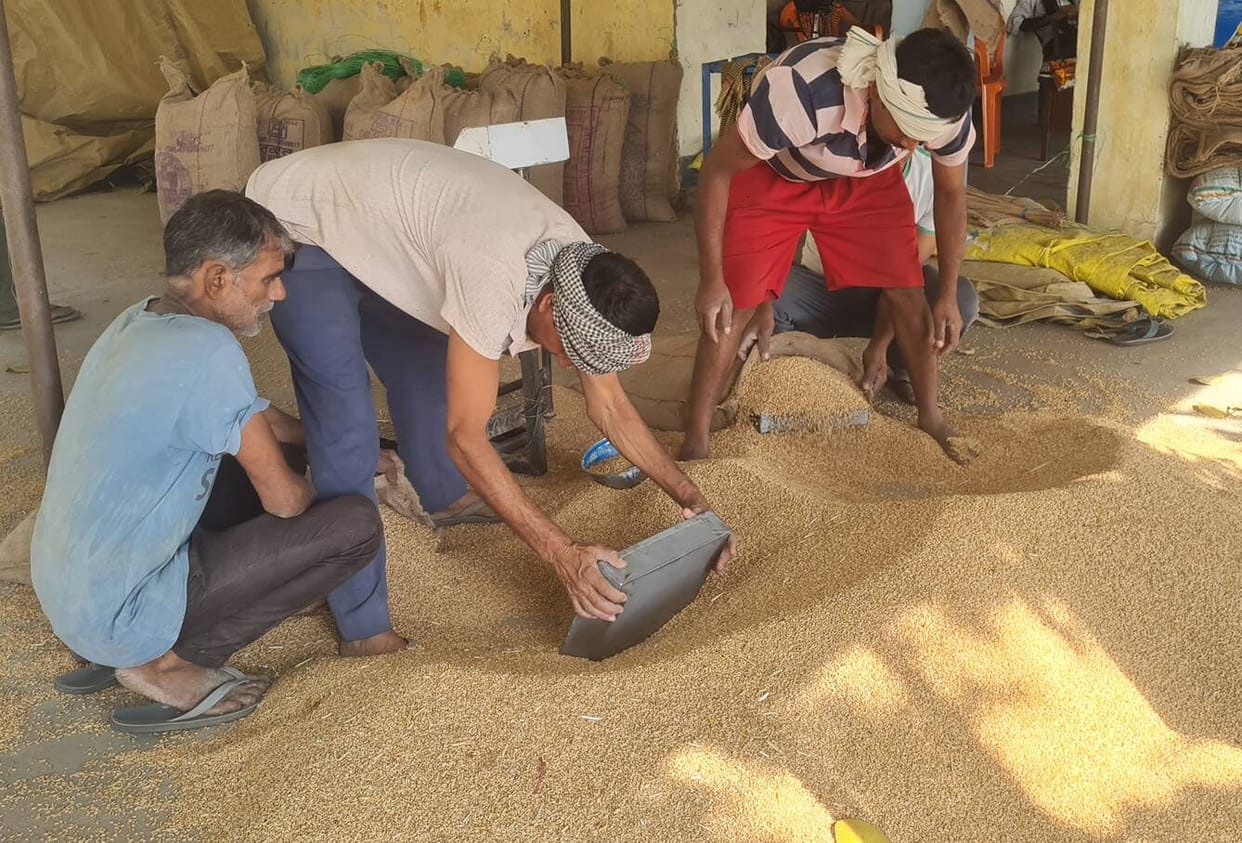 Wheat prices jump by Rs 120 as quality improves