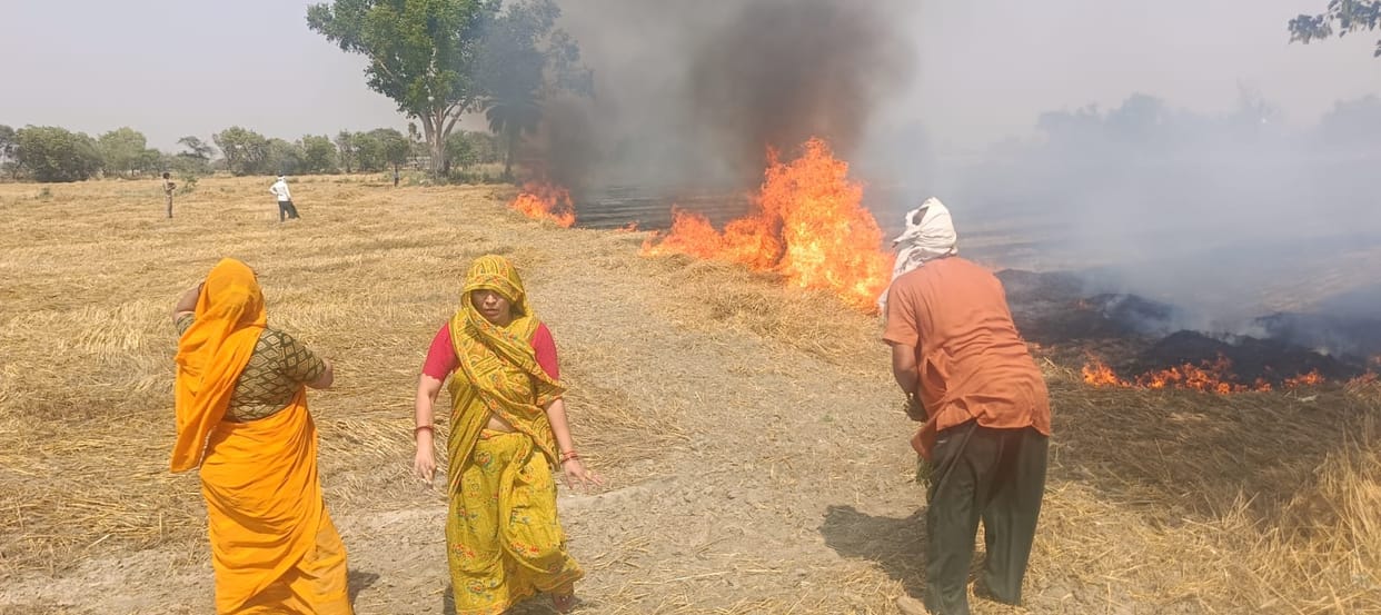 35 bigha wheat crop and straw burnt in the fire