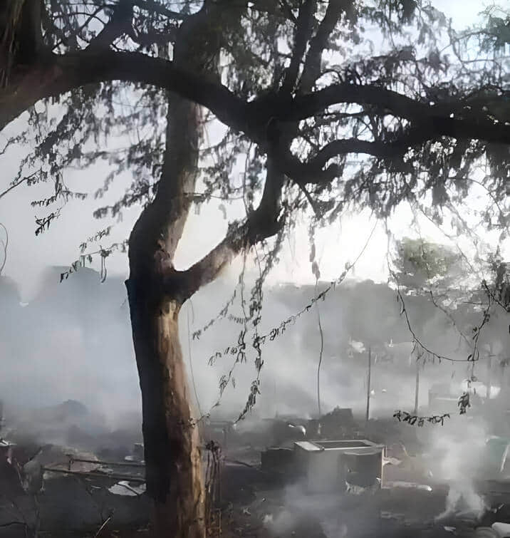 जलने के बाद बेजाड़ हुई झुग्गियां। स्रोत : वीडियो ग्रैब