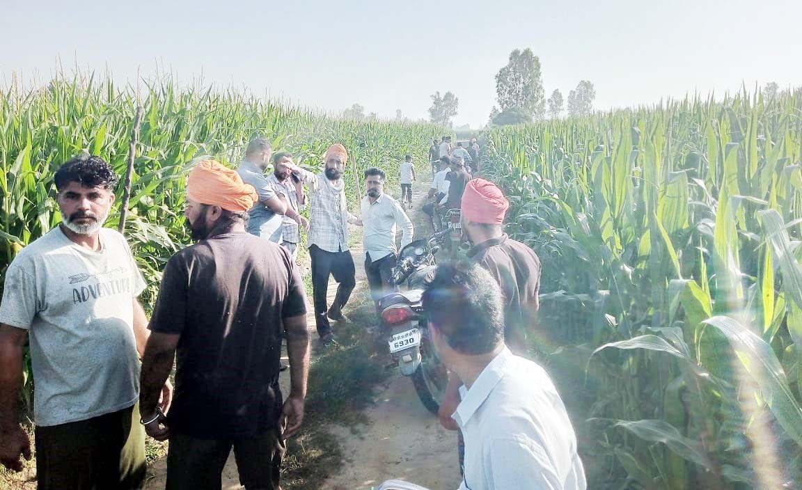 Leopard Kills Pet Dog in Himmatpur