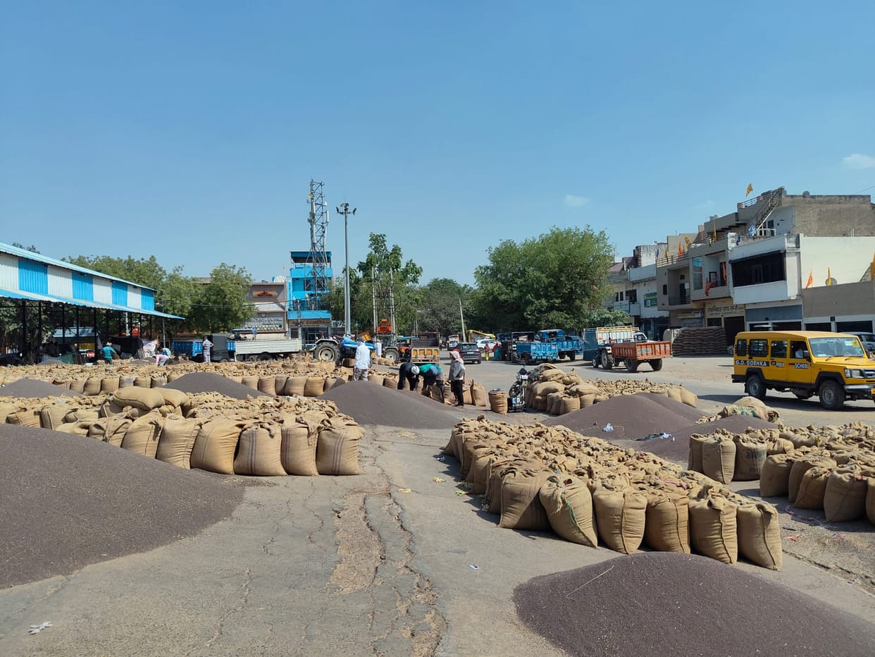 Despite increased arrivals of wheat and mustard, lifting operations remain slow, leaving farmers worried.