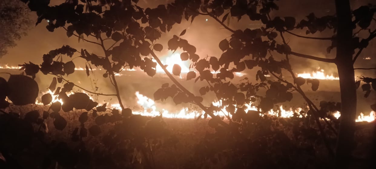 In Kiwana village, the traps were burnt in Bitode, Karhans and Manana.