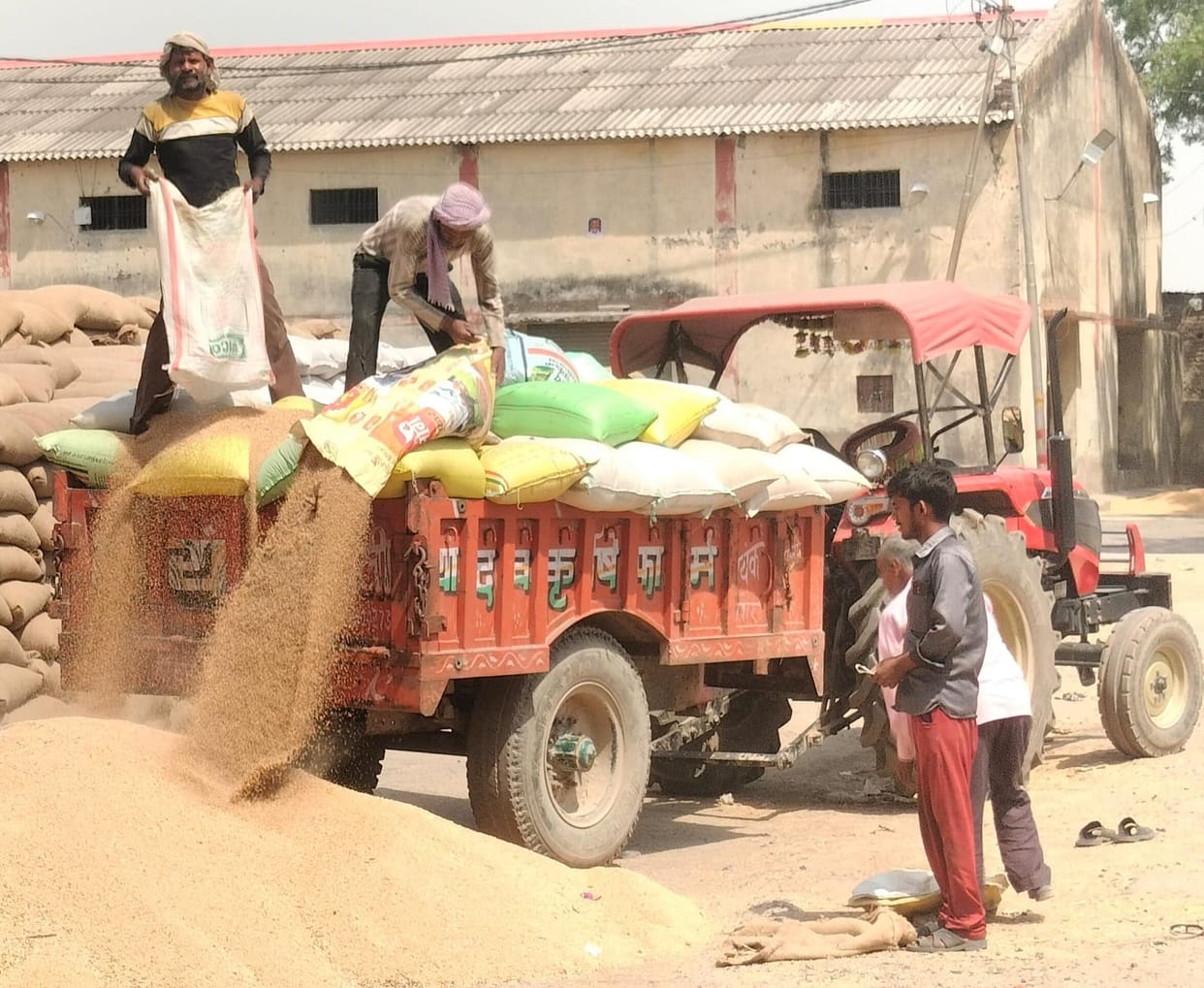 Due to the weather, the arrival of wheat in the market decreased, prices increased.