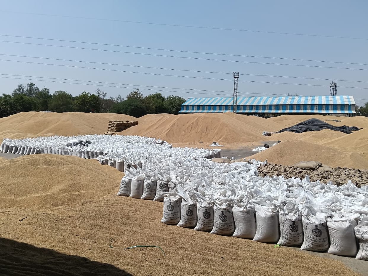 Even as harvesting has picked up pace, millions of quintals of wheat remain in the markets, increasing farmers' problems