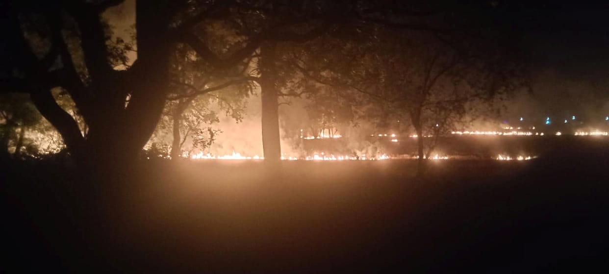 Six huts and 20 bighas of crops were reduced to ashes by the fire.
