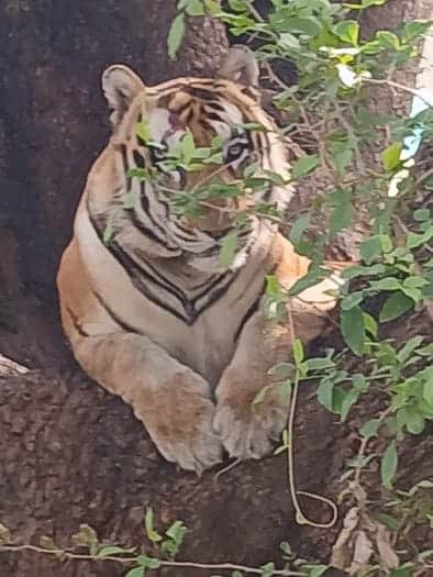 फोटो - 07 विभाग द्वारा जारी की गई फोटो।