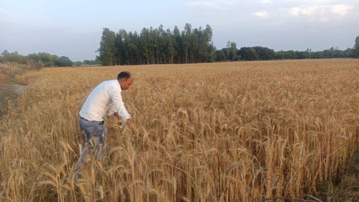 unnao news