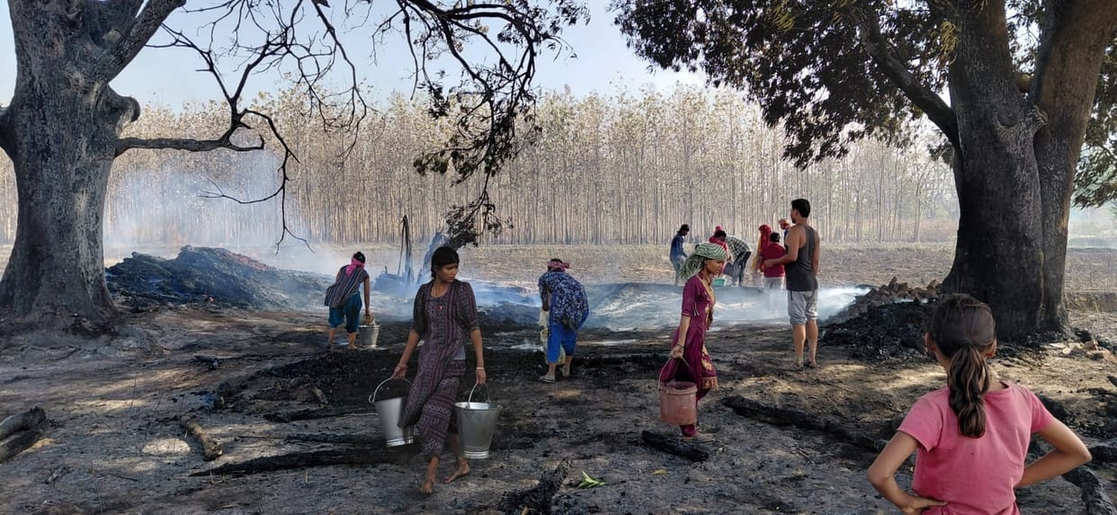 Hundreds of trees in a 45-bigha orchard burned in a farm fire