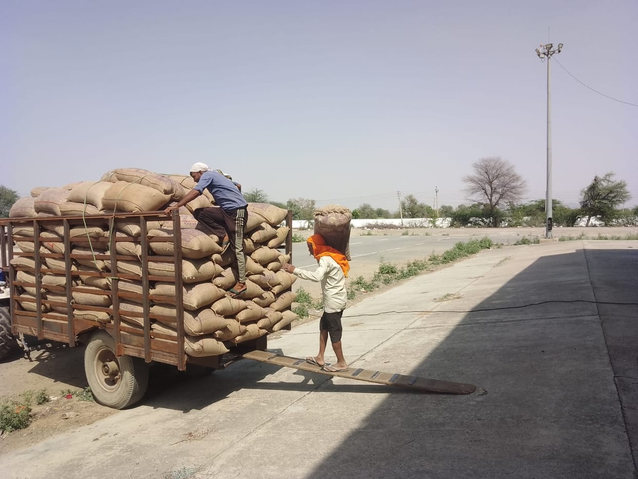 Due to the slow procurement process, farmers have to wait to sell their crops.