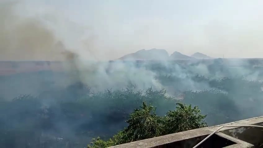A fire broke out in the bushes behind the Kisan Model School and was brought under control with great difficulty