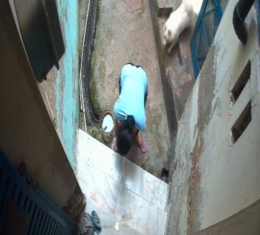 Woman lawyer bitten by neighbour's dog, case filed against four