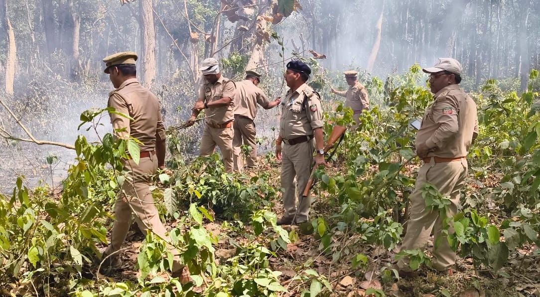 Forest workers brought the forest fire under control